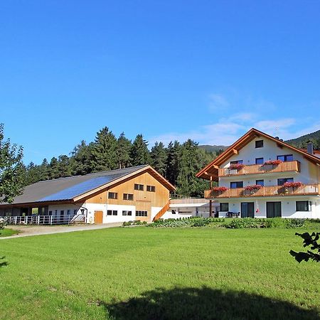 Stiflerhof Appartamento Falzes Esterno foto